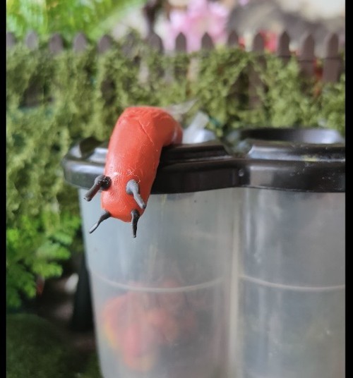 KAILGLIEMEZIM - STOP, ĀBOLAM - PRIEKS!