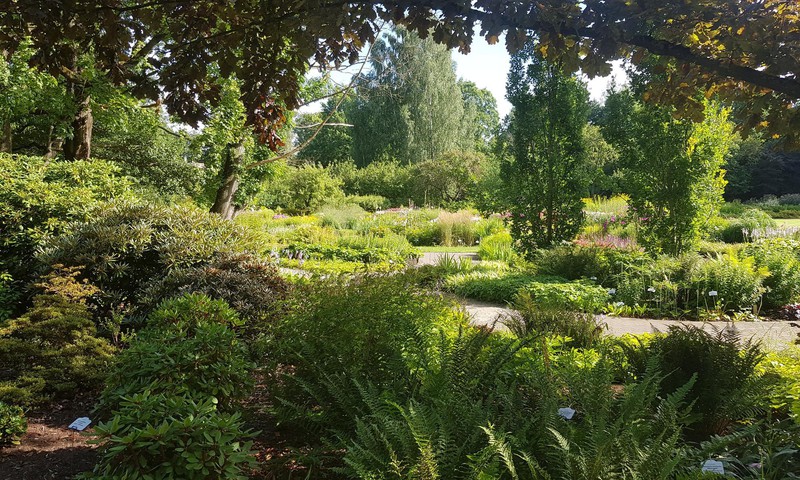 LU Botāniskais dārzs