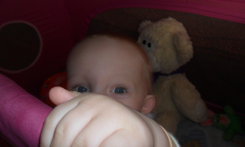 29.10 Roberta saniegums.Vērošana.