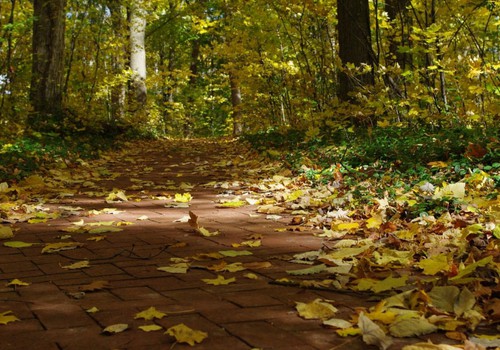 Dabas muzejā skolēnu rudens brīvlaika akcija