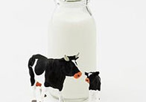 Govs piena lietošanai agrā zīdaiņu vecumā ir arī priekšrocības!