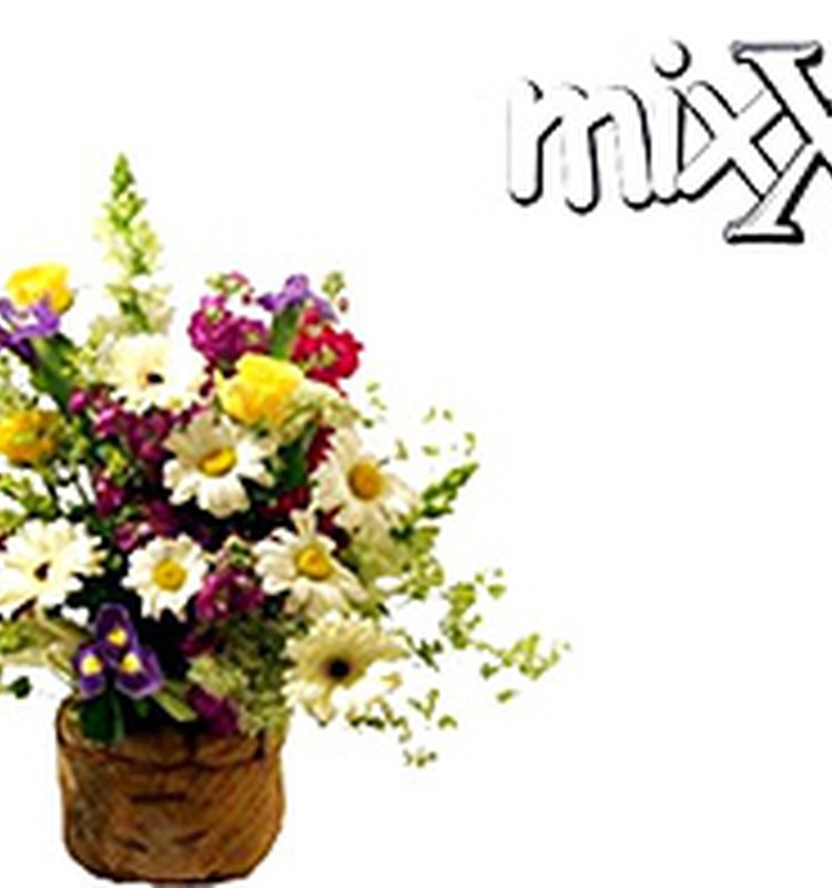 Veikalos "mixX" svētku atlaides!