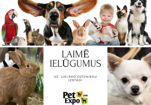 LAIMĒ ielūgumus uz mājdzīvnieku izstādi PetExpo 2018!