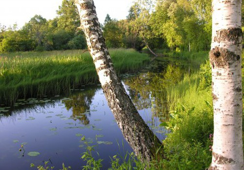 Gardu pārsteigumu no Iļģuciema maiznīcas saņem..