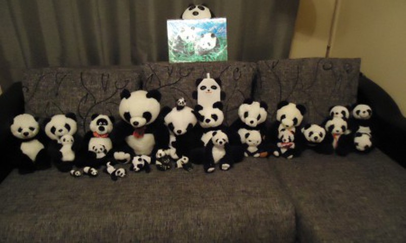 Pandu fotosesija!