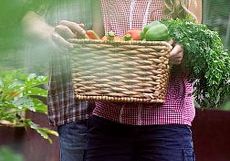 Diskusija: kas, tavuprāt, īsti ir eko produkti?