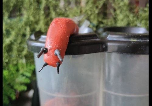 KAILGLIEMEZIM - STOP, ĀBOLAM - PRIEKS!