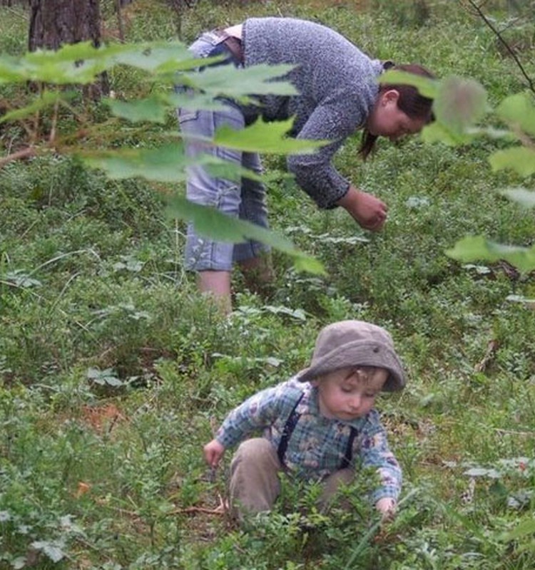 Suminām ogotāju un sēņotāja uzvarētāju!
