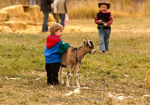 FACEBOOK FOTOkonkurss: "Mans mazais un dzīvnieki"