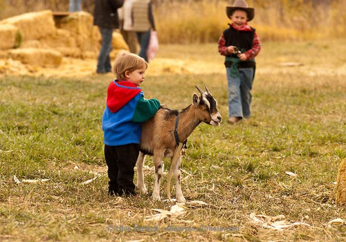 FOTOkonkurss: "Mans mazais un dzīvnieki" ir galā!