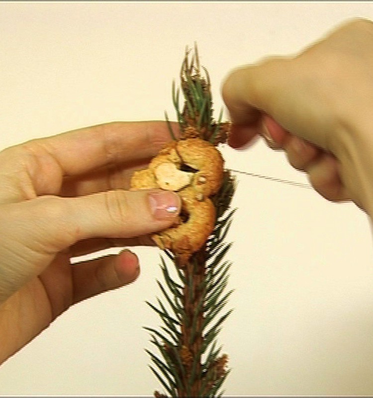 Skaties Ziemassvētku raidījuma atkārtojumu!