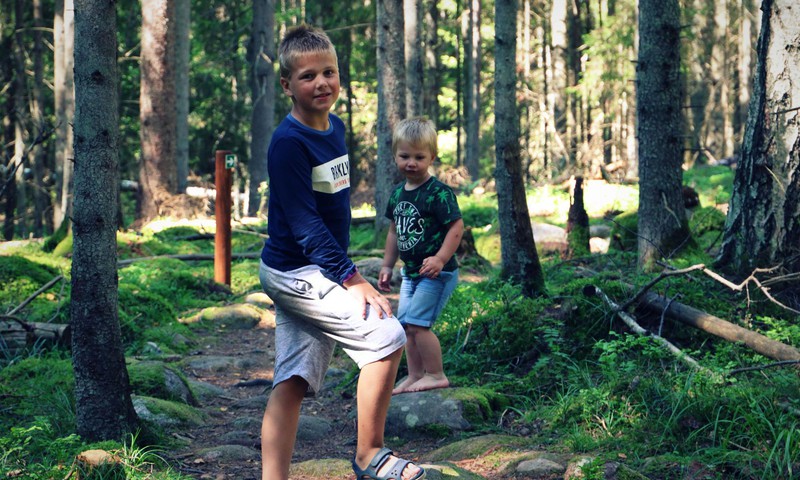 Vasaras gids: Kaltenes Kalvas