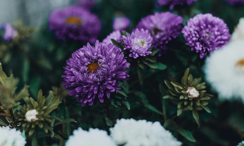 Jaunajā mācību gadā mācības skolā uzsāks vairāk nekā 223 tūkstoši skolēnu