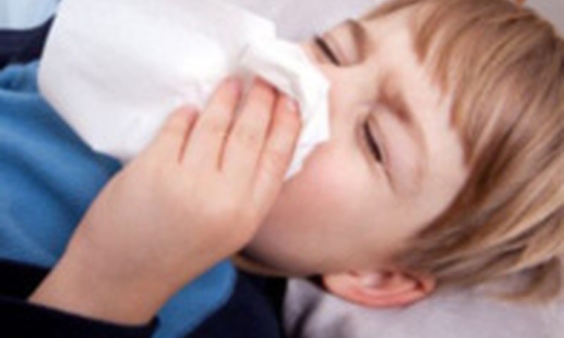 Putekļu ērcīte un imunitātes stiprināšana bērnam