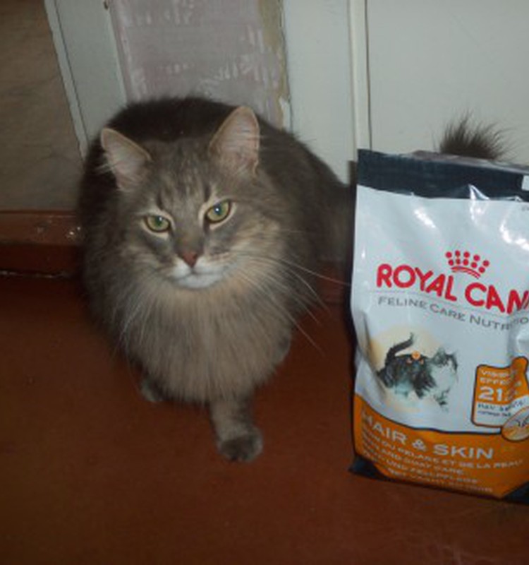 Minkānam garšo Royal Canin