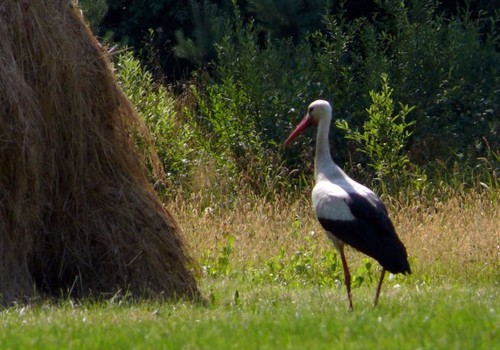 Kā jūs pavadījāt šīs brīvdienas?