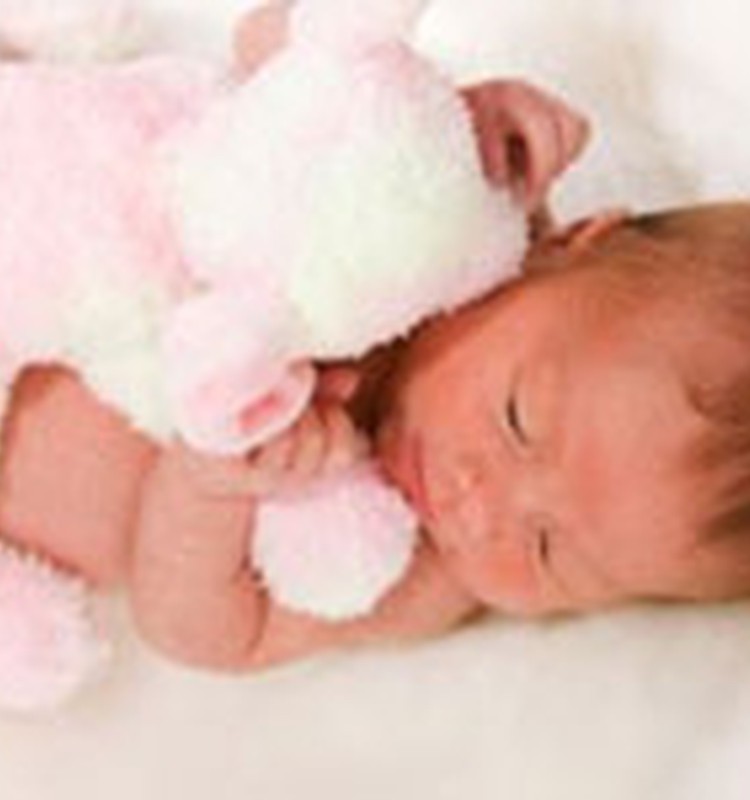 Rotaļlietu reizēm var būt par daudz! Piesakies uz adaptācijas lekciju augustā!