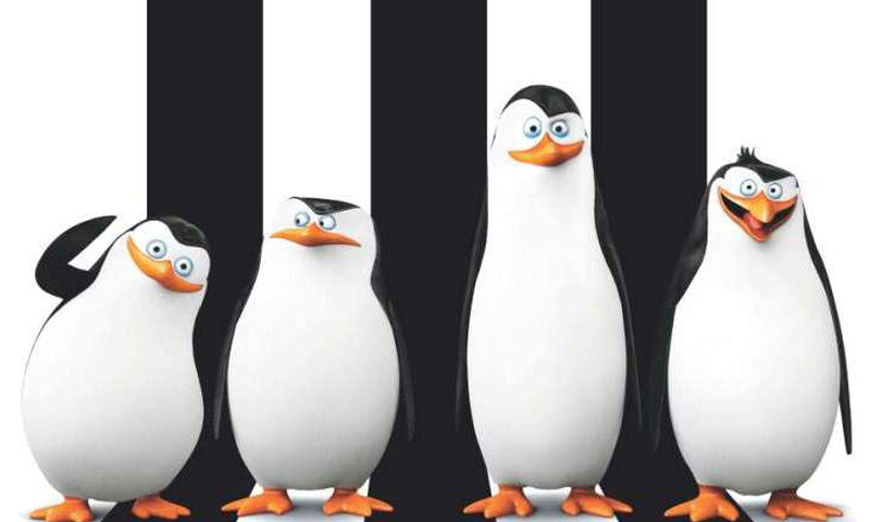 Sestdien “Pingvīnu diena”jeb ko mēs vēl nezinām par pingvīniem?
