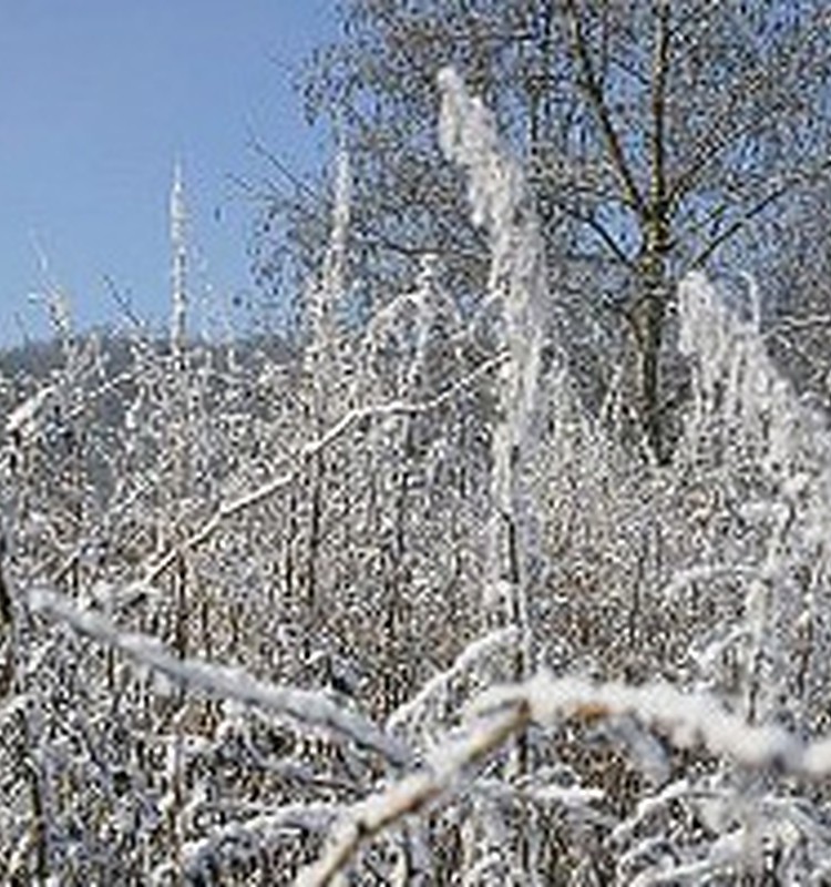 Skolēni aukstuma dēļ var neiet uz skolu