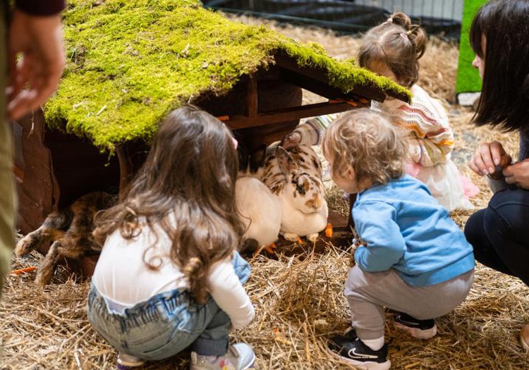 “PetExpo 2026” – divas dienas dzīvnieku pasaulē!