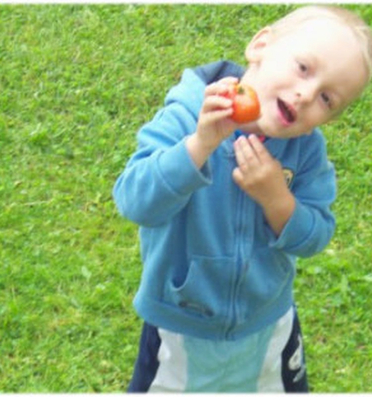 Nedēļa laukos-svaigs gaiss un brīvība