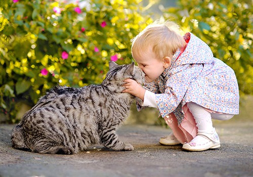 FACEBOOK FOTOkonkurss: "Mans bērns un kaķis"