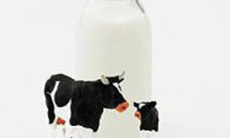 Piena produkti- īsta vitamīnu noliktava!