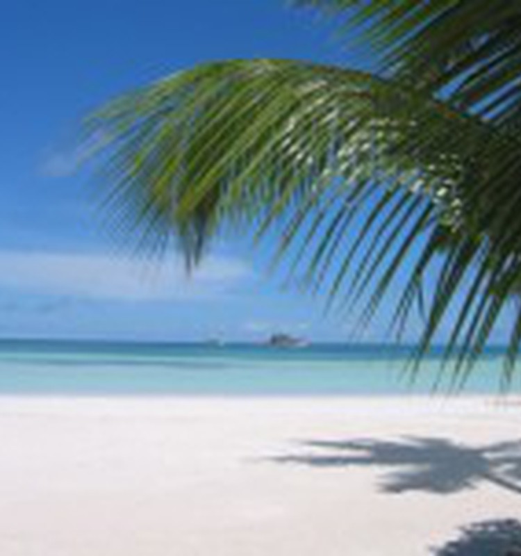 Pārvākšanās uz ārzemēm: cik daudz naudas ir nepieciešams?