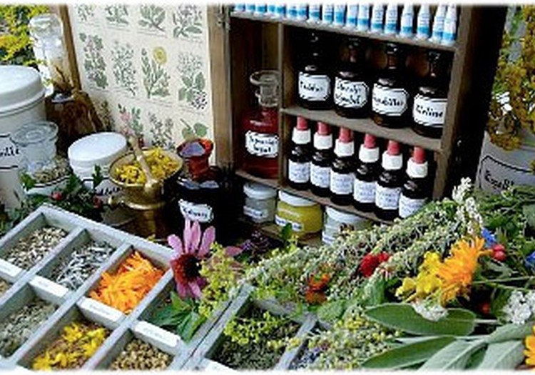 Homeopātija ārstē nevis slimību, bet slimnieku: homeopātijas vēsture