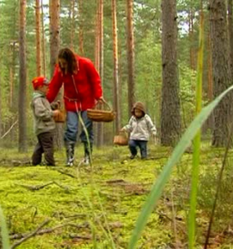 Skaties svētdienas raidījumu un dodamies sēņot!