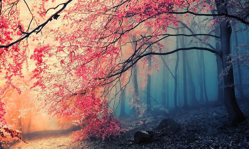 Rudens meditāciju kurss iesācējiem