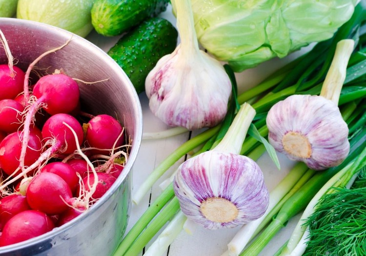 Pavasara dārzeņu laiks – iespēja uzņemt organismam nepieciešamos vitamīnus