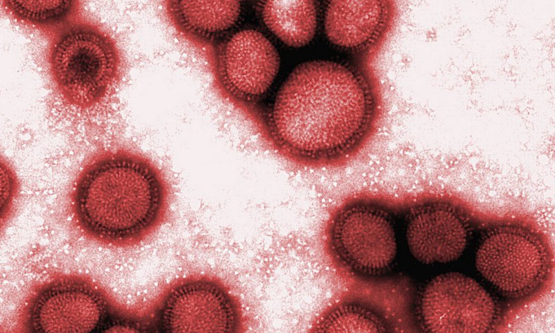Vakcīnas pret cūku gripu Latvija tomēr neiepirks
