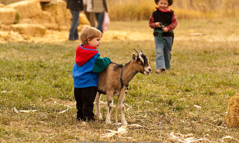 FOTOkonkurss: "Mans mazais un dzīvnieki" ir galā!