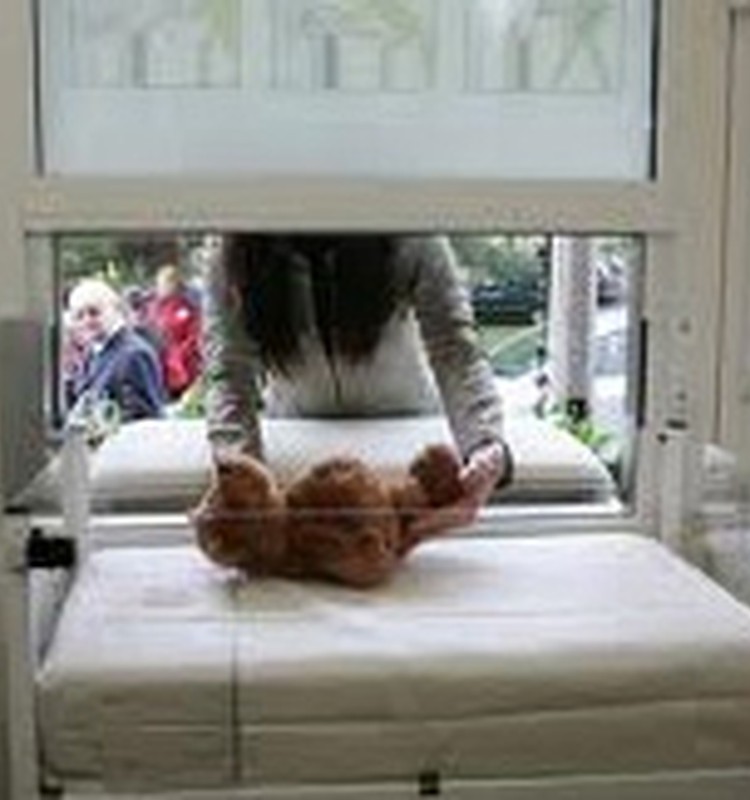 Glābējsilītē ielikts septītais bērniņš - puisītis