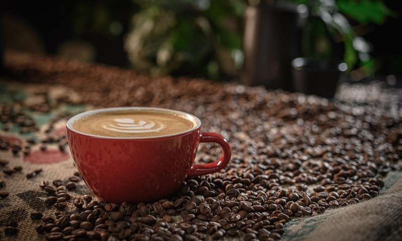 Kā pagatavot lielisku kafiju meža vidū?