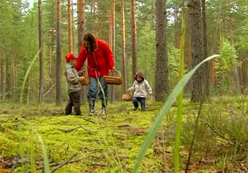 Skaties svētdienas raidījumu un dodamies sēņot!