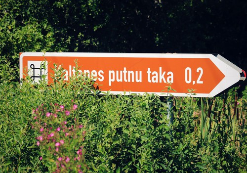 Kaltenes putnu taka