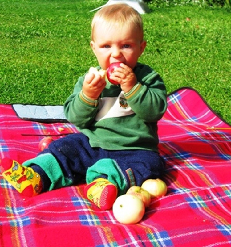 Āboli dažādos veidos