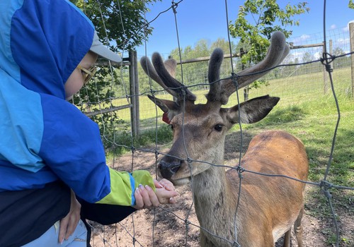 Trojs atpūšas un izglītojas: Safari parks MORE
