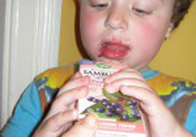 Sambucus Kids- kas tas ir?