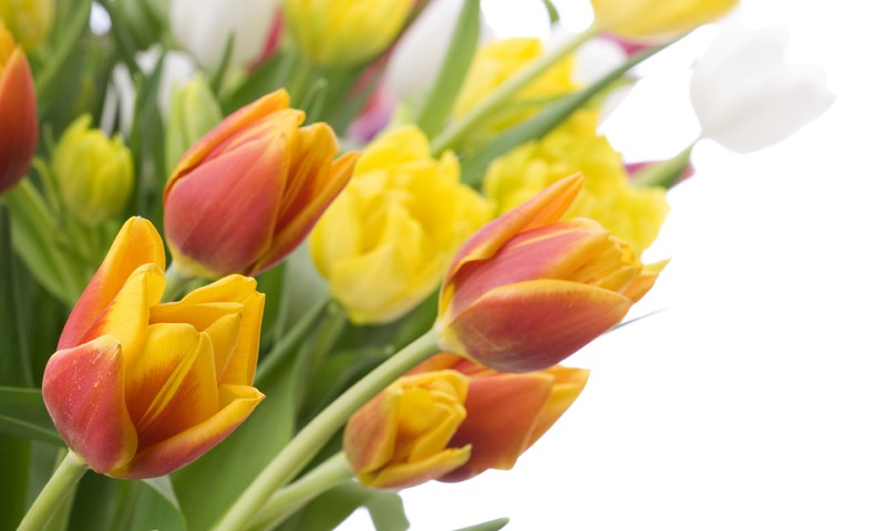 Seko Māmiņu Klubam Facebook vietnē un laimē ekskluzīvu kosmētiku!