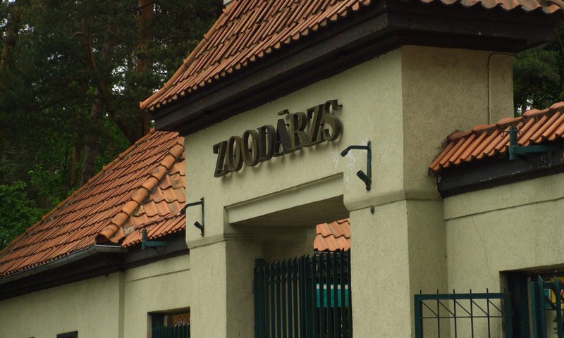 Konkurss ir galā: kurš dosies uz Zoodārzu?