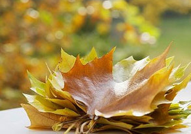 Dienas spēle: Rudens