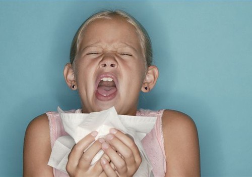 Kas ir alerģija pret mājas putekļu ērcītēm?