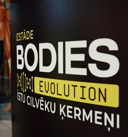 Rīgā tiek atklāta viena no pasaulē pazīstamākajām izstādēm par cilvēka ķermeni - BODIES Evolution