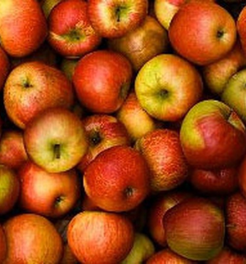 Kā saglabāt ābolus ziemai?