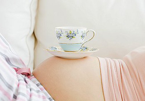 Vai dzert zāļu tējas grūtniecības laikā?