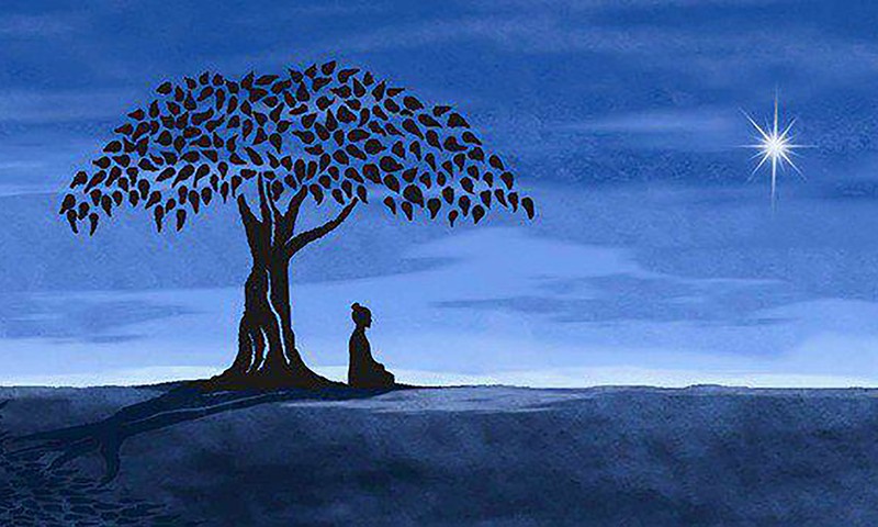 Meditāciju kurss aktīviem meditētājiem