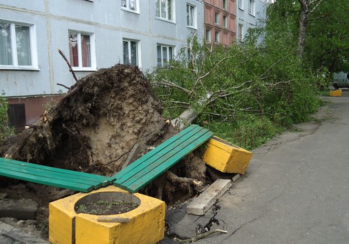 Postījumi pēc vakardienas negaisa